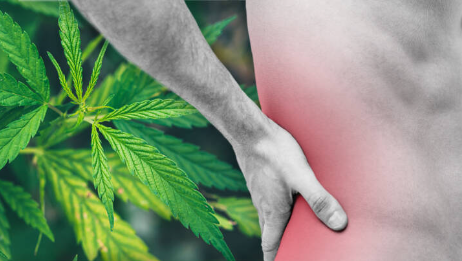 cbd olja kronisk smärta ms cbd olja sverige hhc nordic med can